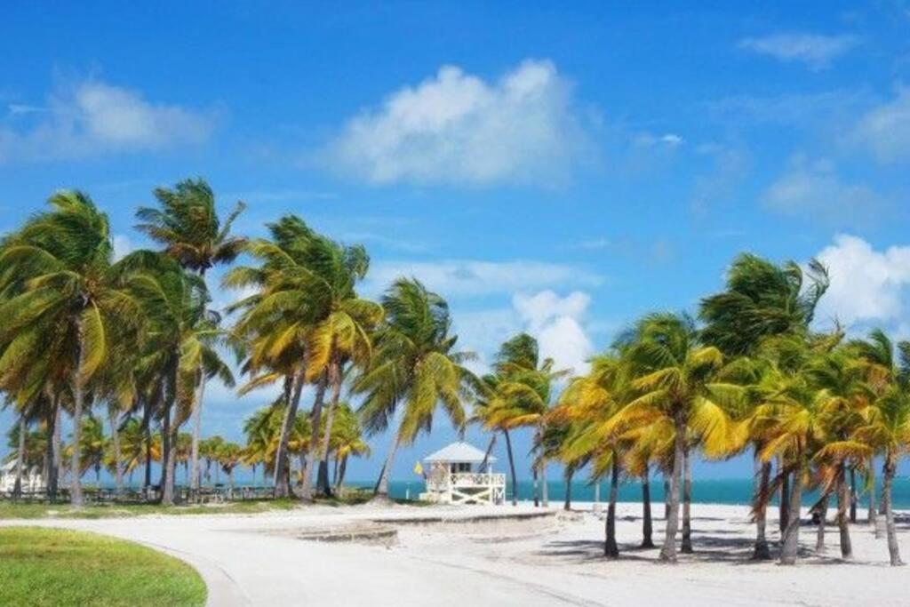 My Lovely Home In Miami 15 Minutes From The Beach Dış mekan fotoğraf